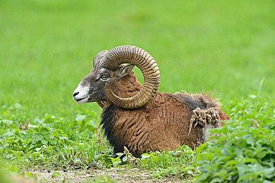 《双截龙外传：龙之崛起》DLC详情介绍 4月4日推出